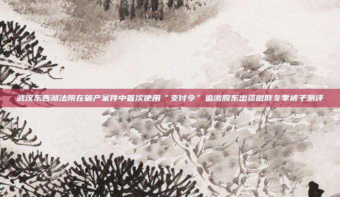 武汉东西湖法院在破产案件中首次使用“支付令”追缴股东出资微胖冬季裤子测评