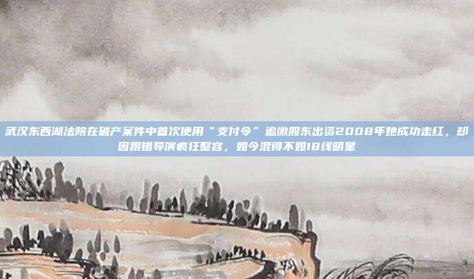 武汉东西湖法院在破产案件中首次使用“支付令”追缴股东出资2008年她成功走红,却因跟错导演疯狂整容,如今混得不如18线明星
