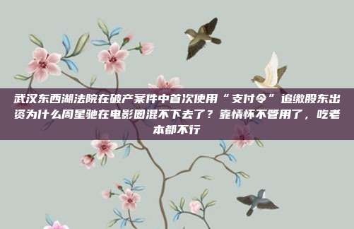武汉东西湖法院在破产案件中首次使用“支付令”追缴股东出资为什么周星驰在电影圈混不下去了?靠情怀不管用了,吃老本都不行