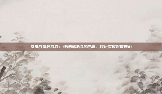 京东白条秒回款:快速解决资金难题,轻松实现财富自由