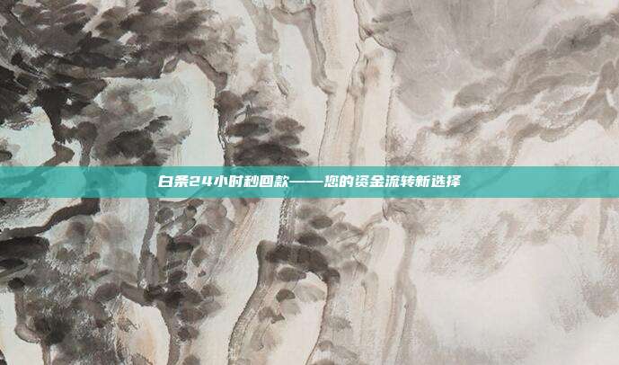 白条24小时秒回款——您的资金流转新选择