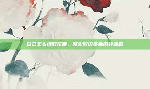 自己怎么提取花呗,轻松解决资金周转难题