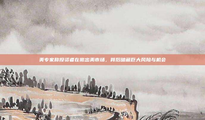 美专家称投资者在撤出美市场,背后暗藏巨大风险与机会