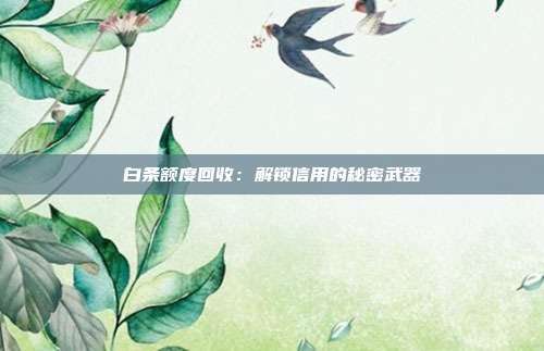 白条额度回收:解锁信用的秘密武器