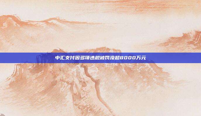 中汇支付因多项违规被罚没超8000万元