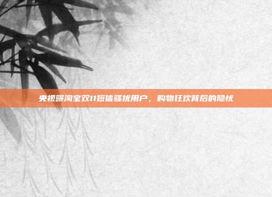 央视曝淘宝双11短信骚扰用户,购物狂欢背后的隐忧