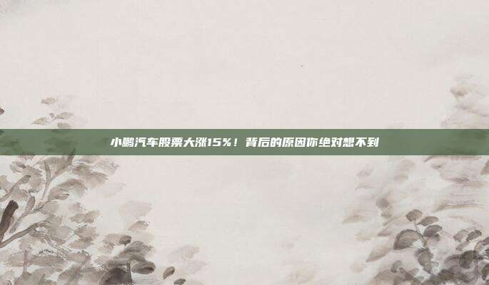 小鹏汽车股票大涨15%!背后的原因你绝对想不到