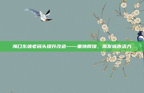 海口东坡老码头提升改造——重焕辉煌,激发城市活力