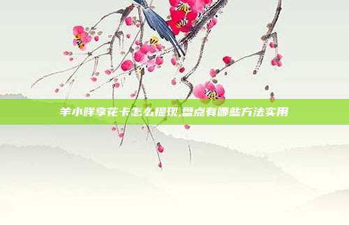 羊小咩享花卡怎么提现,盘点有哪些方法实用