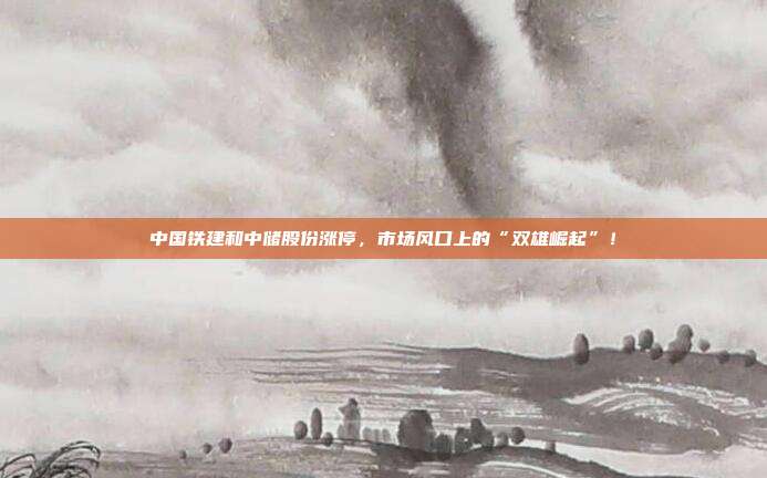 中国铁建和中储股份涨停,市场风口上的“双雄崛起”!