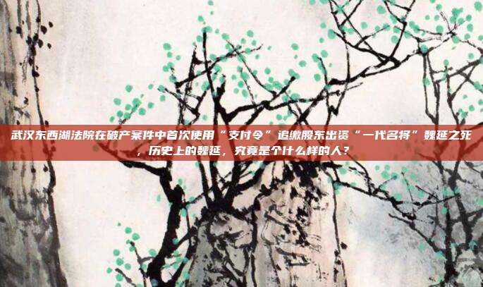 武汉东西湖法院在破产案件中首次使用“支付令”追缴股东出资“一代名将”魏延之死,历史上的魏延,究竟是个什么样的人?