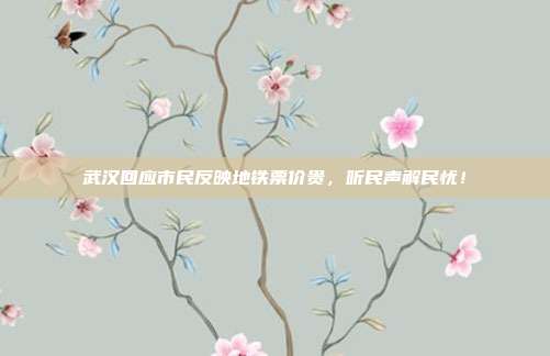 武汉回应市民反映地铁票价贵,听民声解民忧!