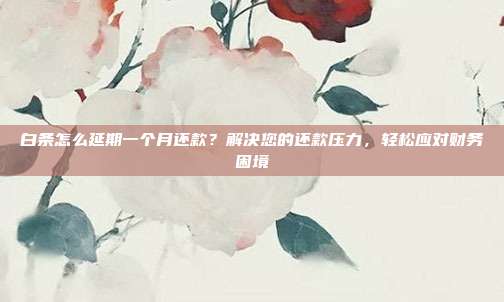 白条怎么延期一个月还款?解决您的还款压力,轻松应对财务困境