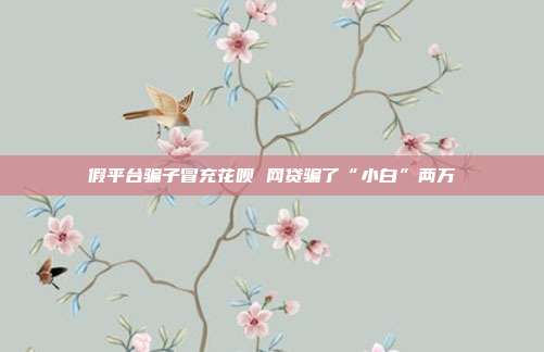 假平台骗子冒充花呗 网贷骗了“小白”两万