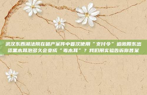 武汉东西湖法院在破产案件中首次使用“支付令”追缴股东出资黑木耳泡多久会变成“毒木耳”?我们用实验告诉你答案