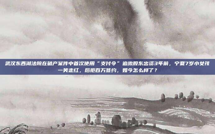 武汉东西湖法院在破产案件中首次使用“支付令”追缴股东出资3年前,宁夏7岁小女孩一笑走红,后拒百万签约,如今怎么样了?