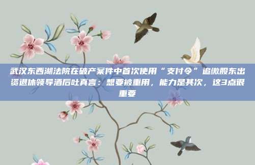 武汉东西湖法院在破产案件中首次使用“支付令”追缴股东出资退休领导酒后吐真言:想要被重用,能力是其次,这3点很重要
