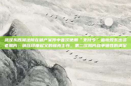 武汉东西湖法院在破产案件中首次使用“支付令”追缴股东出资老照片:镇压印度起义的锡克士兵,第二次鸦片战争牺牲的清军
