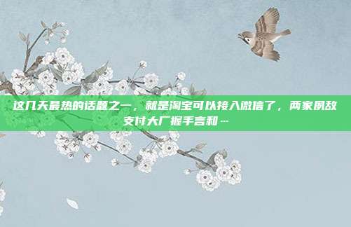 这几天最热的话题之一,就是淘宝可以接入微信了,两家夙敌支付大厂握手言和…